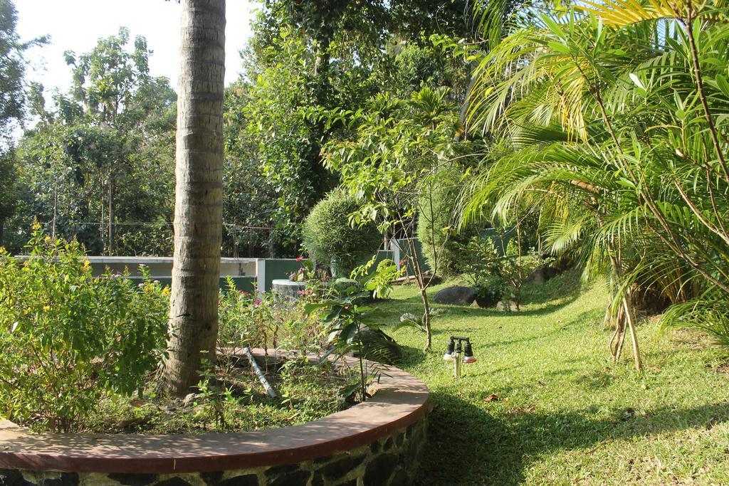 Green View Holiday Resort Kandy Kültér fotó